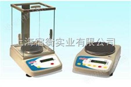 美國西特Setra-BL-5000F電子天平